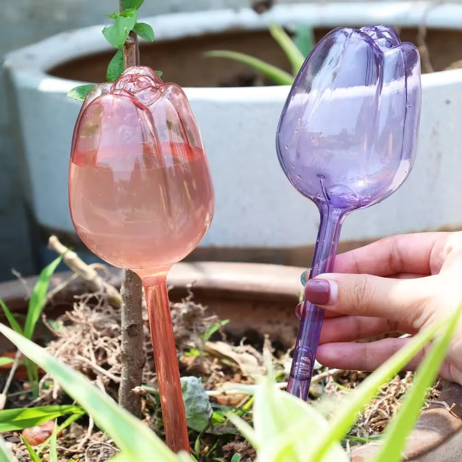 Automatic Plastic Drip Irrigation Watering Device, Tulip Plant Watering Ball, Automatic Watering Supplies, Planter Insertion Device
